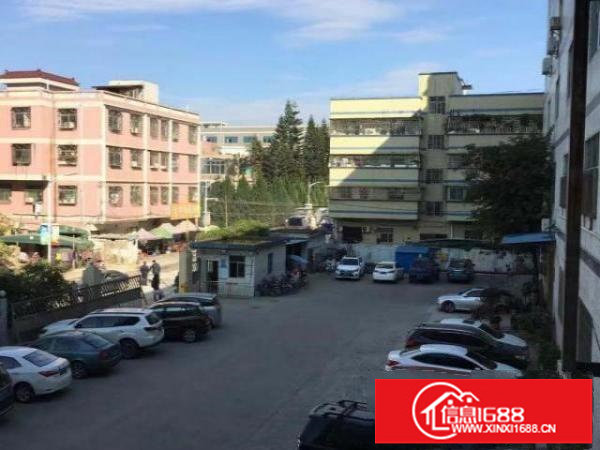 龙岗南联工业厂房整层1800平带装修出租（可分租）