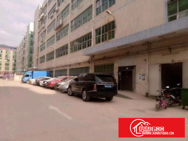 西乡一楼带装修厂房800平米招租