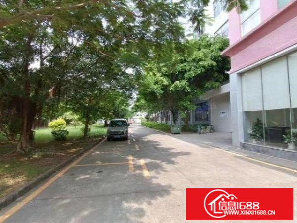 龙岗坪地新出工业园一楼500平标准厂房出租有红本全新地坪漆