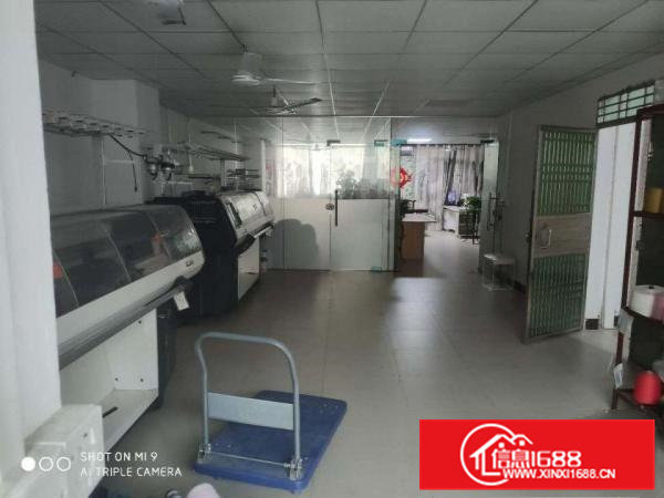 带装修的一楼带阁楼，还有楼上的一起出租