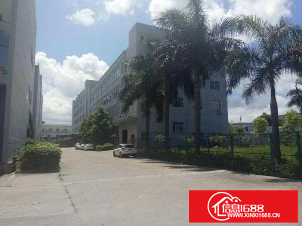 横岗安良原房东厂房600平出租带装修