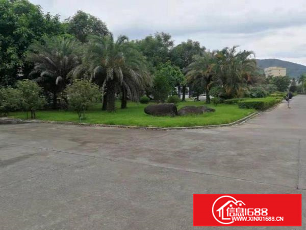 博罗砖墙到顶滴水10米厂房3栋面积约35000平米出租