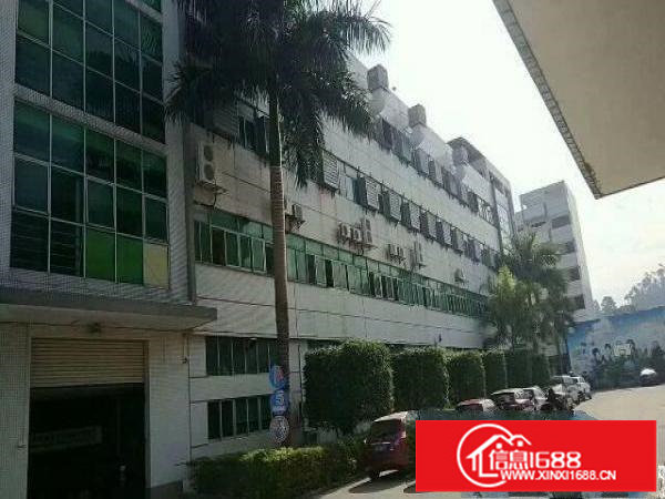 横岗大康沙荷路二楼1550平带装修厂房出租可分租