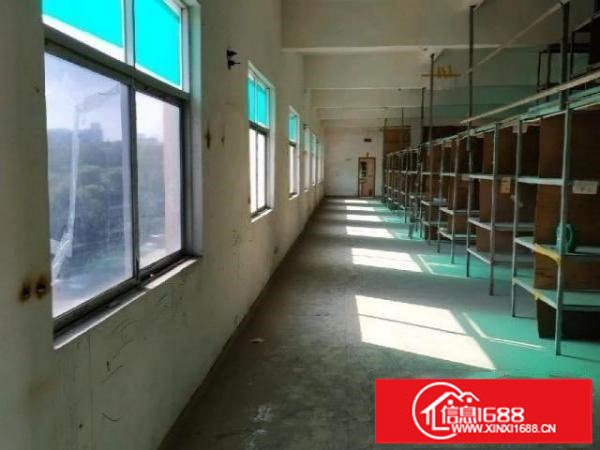 平湖良安田新木厂房仓库方正价惠可合或分租非中介