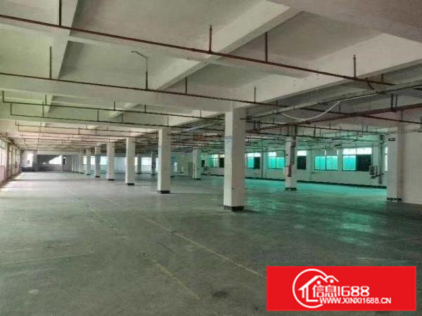 桥头镇成熟工业区花园式厂房楼上1860平，带装修