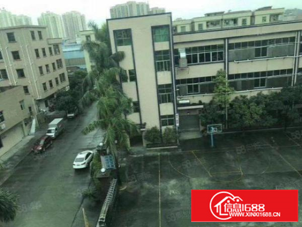 厂房出租！地址石龙镇可分租，可整租，形象好！面积大，空地大！