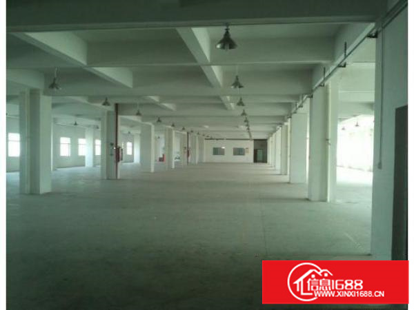 龙岗新出一个原房东独院1000平，厂房两栋