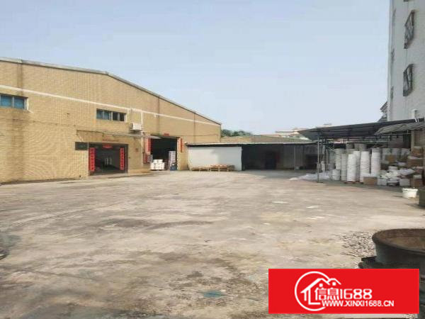 企石新出独院1550平方独院钢构厂房滴水7米，空地大，工业区