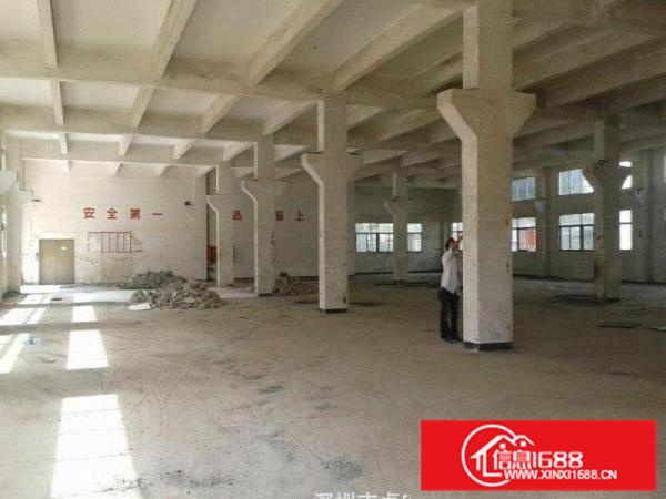 （南国桃园）旁新出标准2层独院7000方，可分租