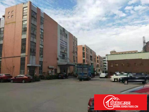 大岭山金桔新出工业园标准3楼1500平厂房招租带豪华装修