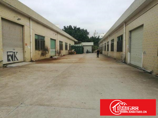 观澜环观中路大布头8米高钢构独院厂房大小分租