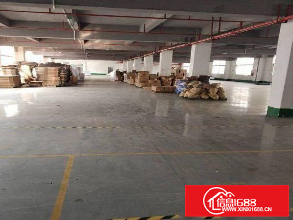 惠阳新墟一楼1450平方标准厂房出租现成装修