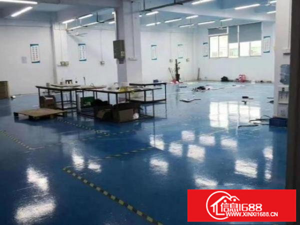 观澜500平一整层9800全包带精装修水电齐全