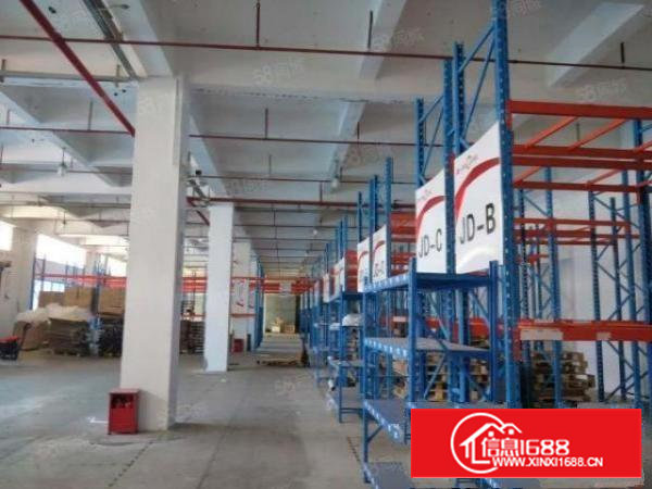 黄埔107村委厂房一楼1500平厂房出租，面积实在