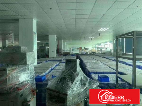 有吊顶地坪漆办公室，水电齐塘厦科苑城厂房出租3000平米