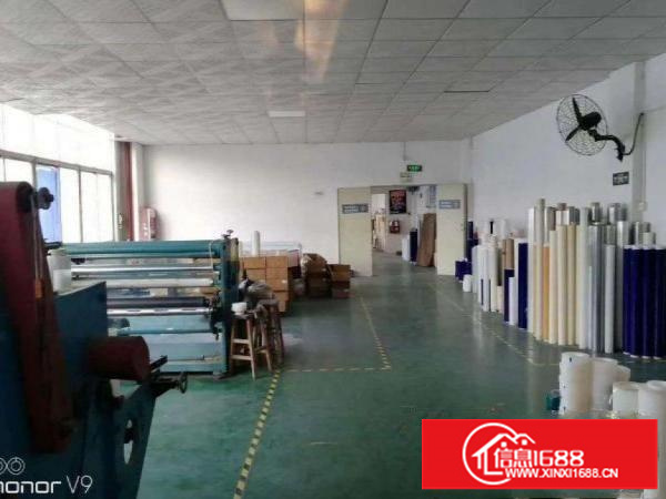 茨田蒲松柏路边豪华装修厂房450平面