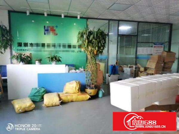 西乡黄麻布无尘车间厂房380平米