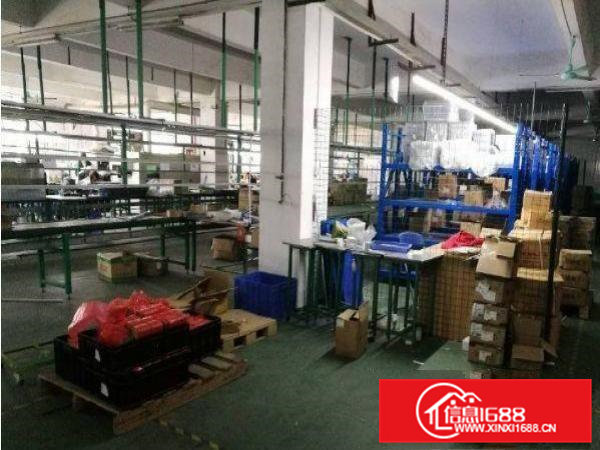 常平漱旧一楼720平水电齐全厂房招租