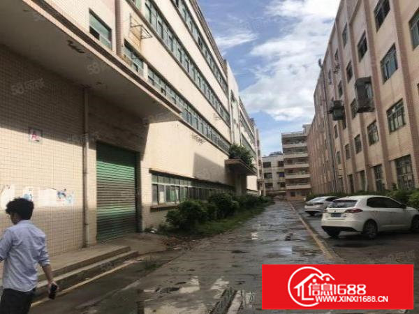 观澜梅观高速出口新出原房东厂房招租3600平