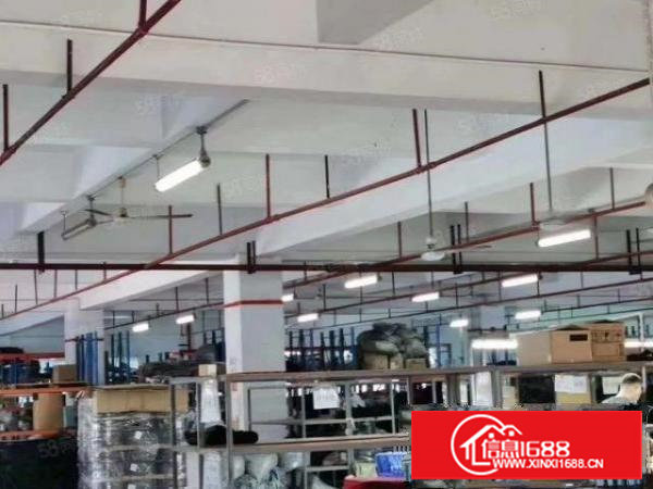 原房东实际面积，独门独院出租，全新装修