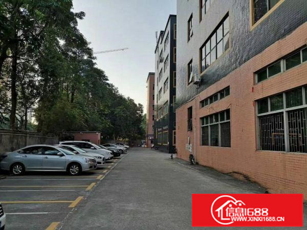 坂田天安云谷旁1550平一楼标准厂房