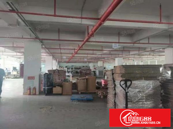 黄江镇黄牛埔村新出原房东厂房2000平方米出租