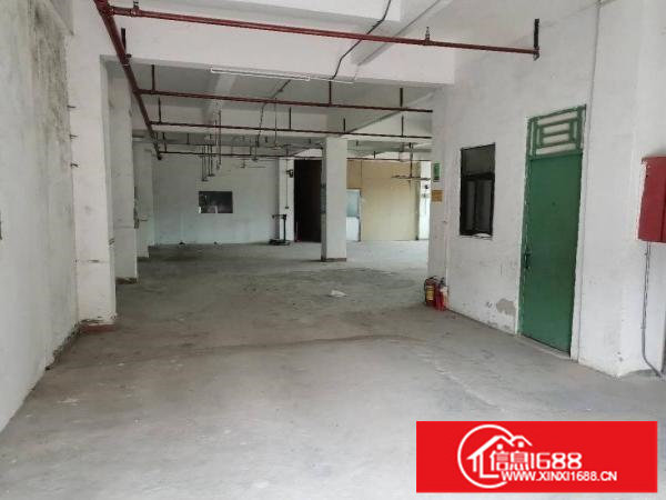 龙岗区横岗横坪公路原房东楼上整层360平方米招租