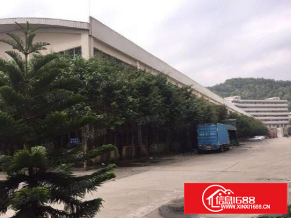 深圳龙岗中心城龙岗大道边上12000平方高度12米合同10年