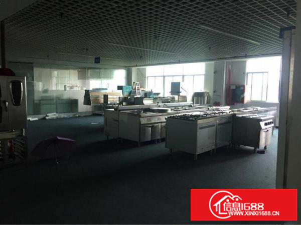 坂田新出1000平一楼物流仓库可分租500平