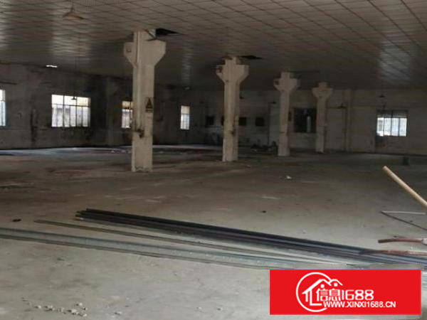 大朗新马莲新出独院单一层钢构厂房3600平滴水7米带牛角