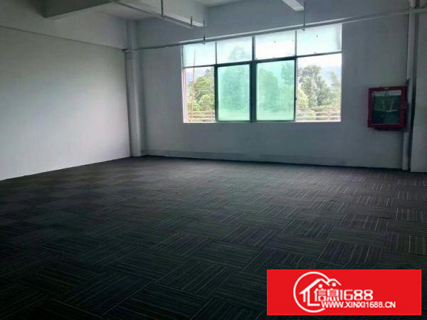 坂田杨美电商办公仓库面积大小可分100平起租