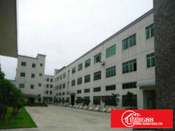 万江3200厂房平出租有精装办公室，水电消防齐全加工，等行