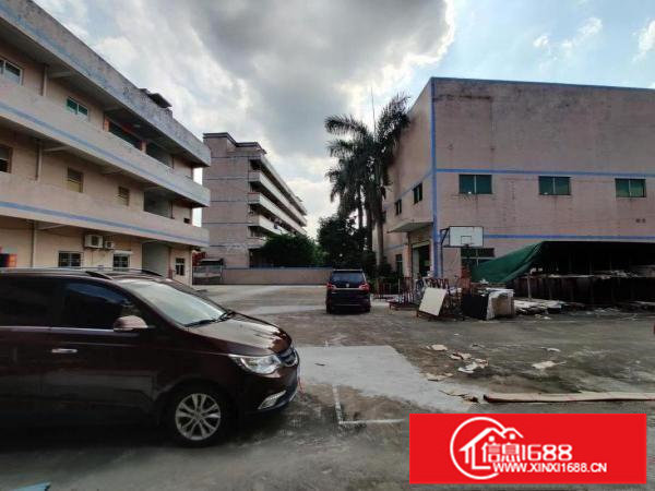 坪山独院钢构滴水10米2770平带有现成精装办公室