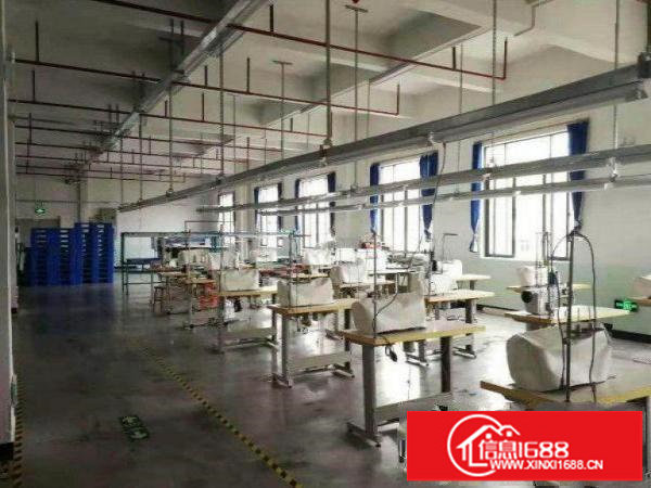 平湖楼上整层1800平方带精装修可分租