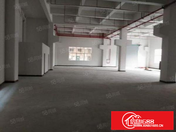 靠近常平新出一楼800平高7m带牛角,适合各种行业,交通方便