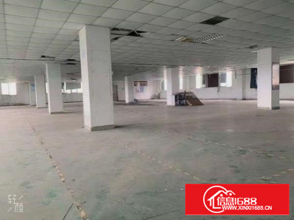 宝安区石岩精装厂房出租！