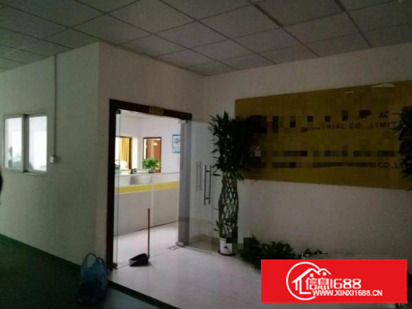 观澜至龙华龙观快线路边二楼1000平米一手房东出租