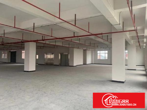 东莞厂房直租3000平