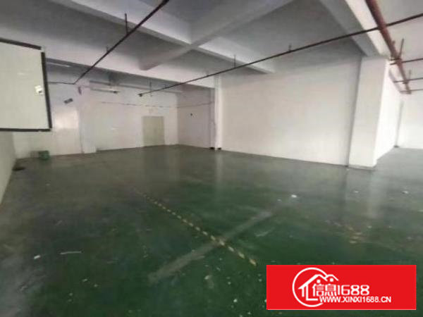 常平花园式园区一楼5000平出租带牛角（可分租）空地3万平