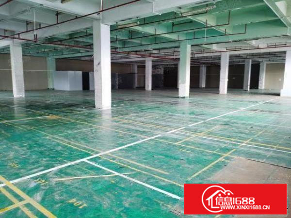 大朗红本厂房1800平大小分租专业管理团队24安保