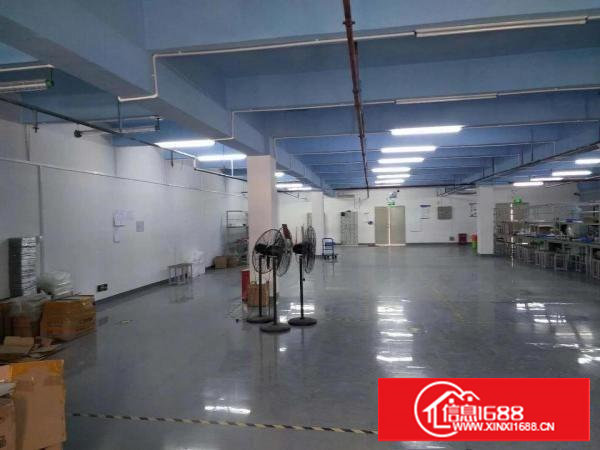 塘厦龙背岭工业区标准1楼1200平方！现成主线现成办公室装修