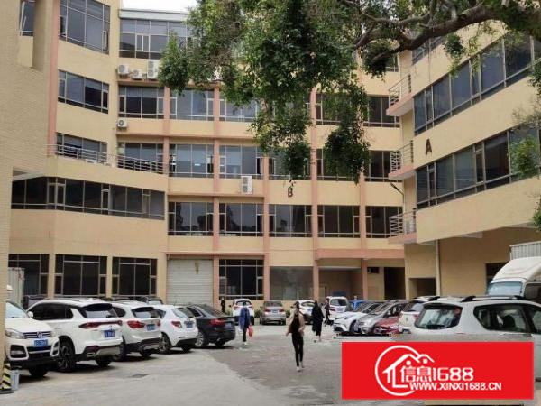 横沥新四独门独院新出一楼1200平出租水电办公室齐全