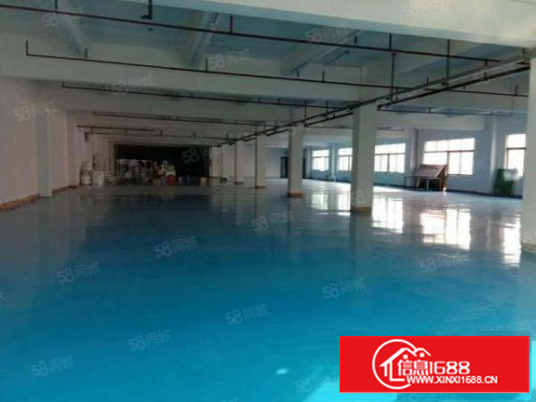 茶山新出楼上1500平方。手慢无