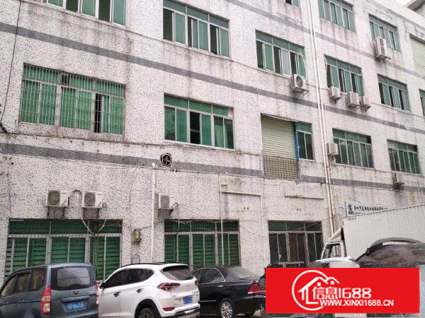 出租龙岗区横岗龙岗大道边上精装修楼上740平村委厂房