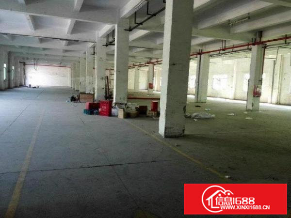 （新盘）清溪三中标准一楼1500平方带行车免费使用