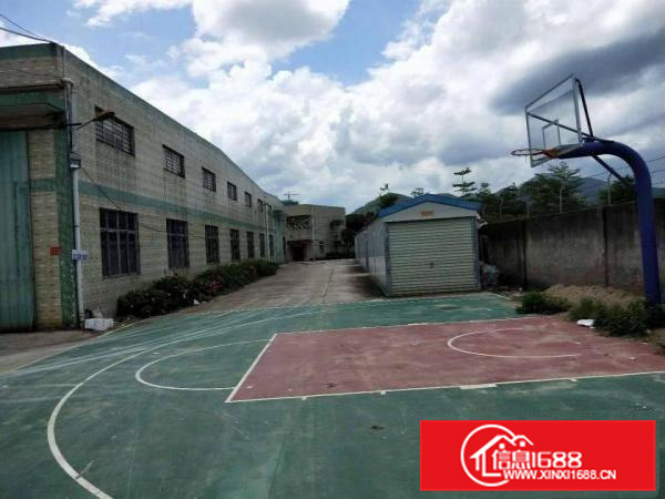 镇隆205国道边8000平方独院厂房招租