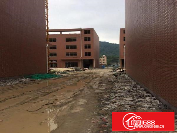 惠阳新圩全新独门独院四层厂房11000平方米招租