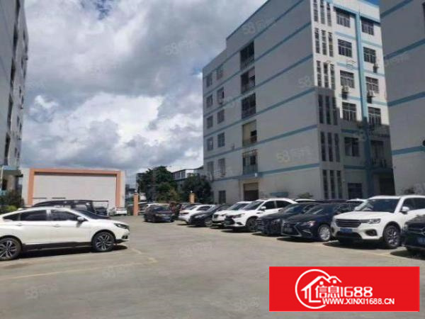 四甲新出原房东独院厂房楼上1380平带精装修办公室前台