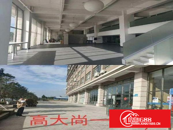 虎门新出一楼贸易厂房出租