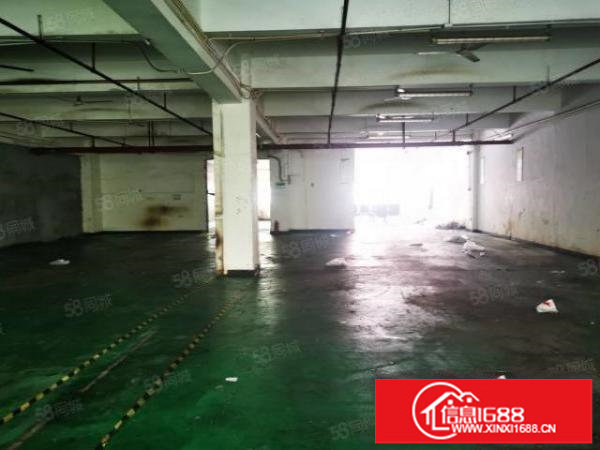 龙华天虹附近新出一楼厂房700平出租